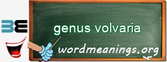 WordMeaning blackboard for genus volvaria